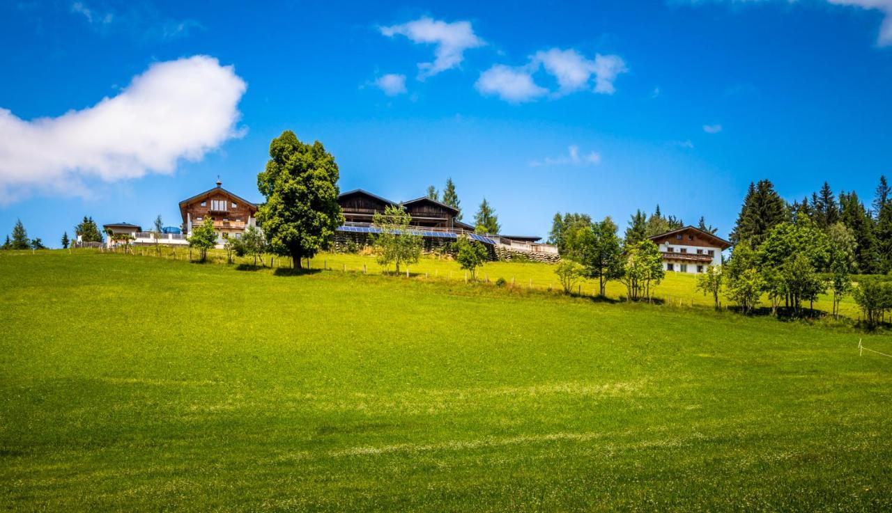 Daarhof Wagrain Exterior foto
